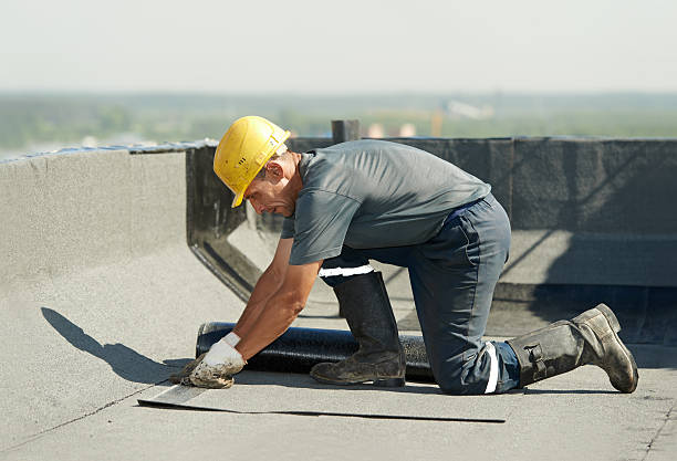 Best Insulation Maintenance and Repair in Rushvle, IL